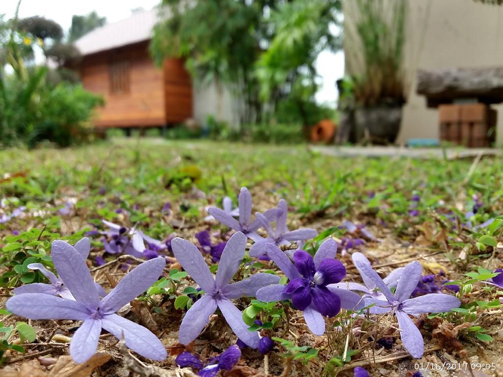Rai Lung Tui Homestay Prachuap Khiri Khan Exterior photo